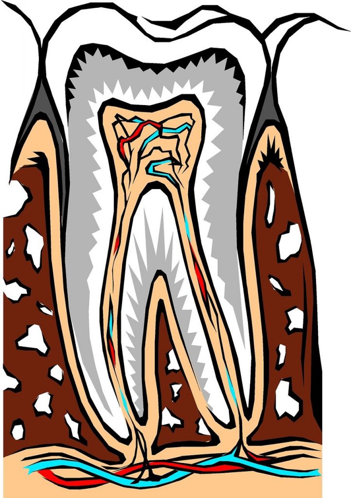 Root Canal Treatment : A Guide